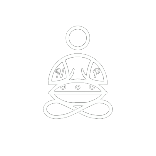 NovaPans Handpans
